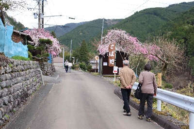 Photo from 2025/4/5