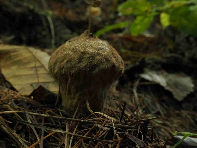 Thumbnail for 34640