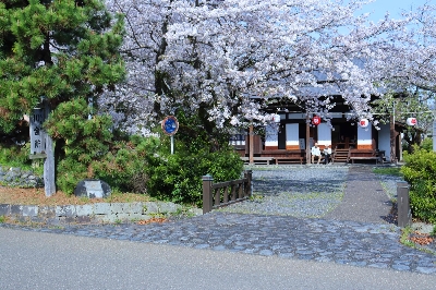 Thumbnail for 40083