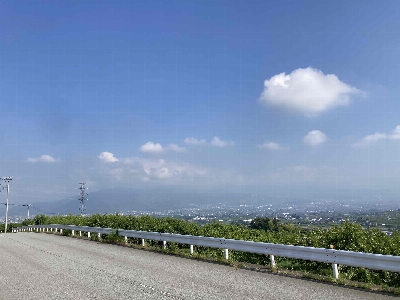 Photo from 2024/8/2