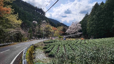 Photo from 2025/4/5