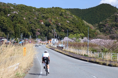 Photo from 2025/4/5