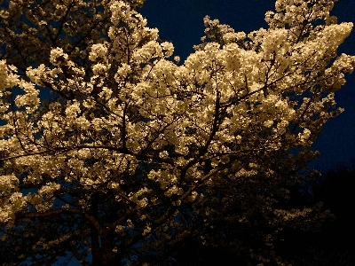 Photo from 2024/4/6