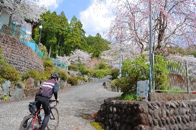 Photo from 2025/4/5