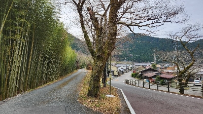Thumbnail for 5022