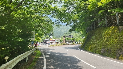 Photo from 2025/7/5