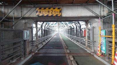 Photo from 2025/8/7