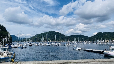 Photo from 2026/9/2