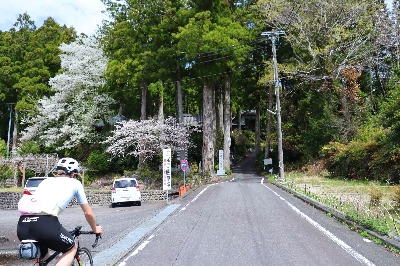 Photo from 2025/4/5