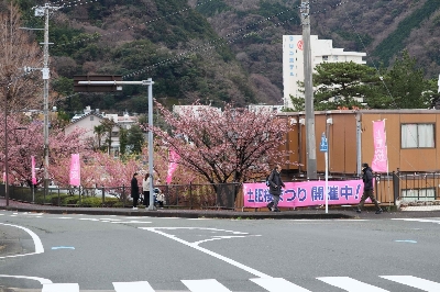 Photo from 2024/2/4