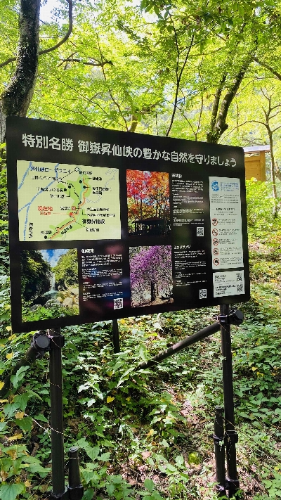 Photo from 2024/9/6