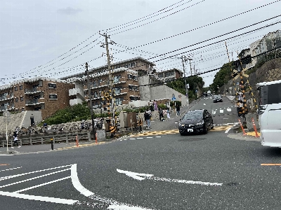 Photo from 2025/5/24