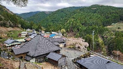 Photo from 2025/4/5