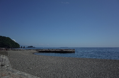 Photo from 2024/6/8