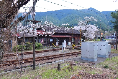 Photo from 2025/4/5