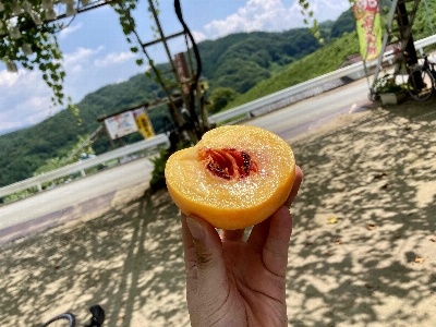 Photo from 2024/8/3