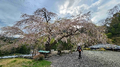 Photo from 2025/4/5