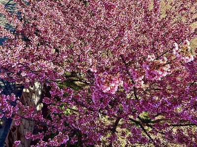 Photo from 2025/2/8