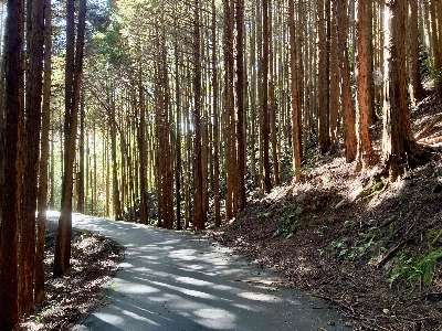 Thumbnail for 35431