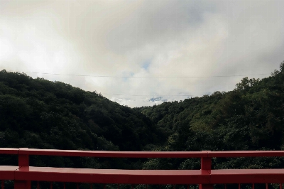 Photo from 2024/10/5