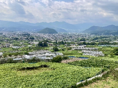 Photo from 2024/8/3