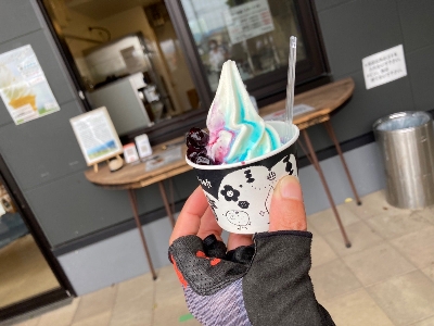 Thumbnail for 4239