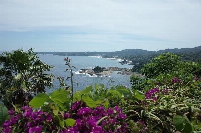 Photo from 2024/6/8