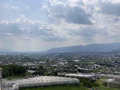 Photo from 2024/8/3