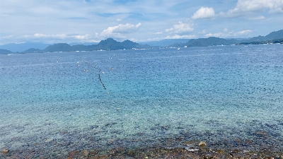 Photo from 2026/9/2