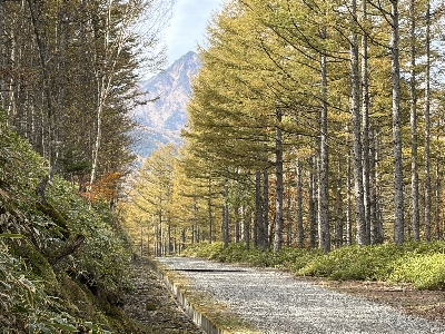 Thumbnail for 56274