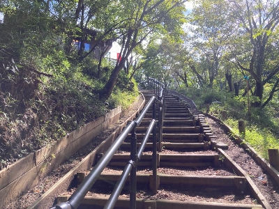 Photo from 2023/10/7