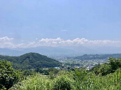 Photo from 2024/8/3