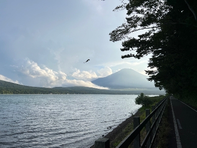 Photo from 2023/8/4