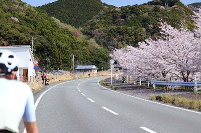 Photo from 2025/4/5