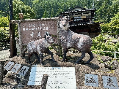 Photo from 2025/7/5