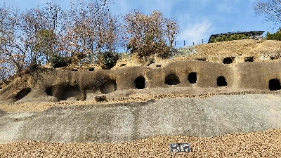 Thumbnail for 51503