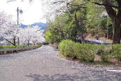 Photo from 2025/4/5