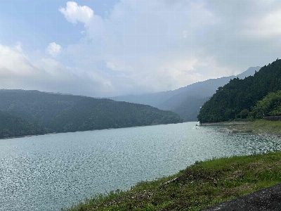 Thumbnail for 44481