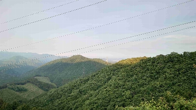 Photo from 2024/6/8