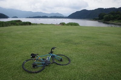 Photo from 2025/8/9