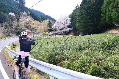 Photo from 2025/4/5