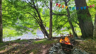 Thumbnail for 4202