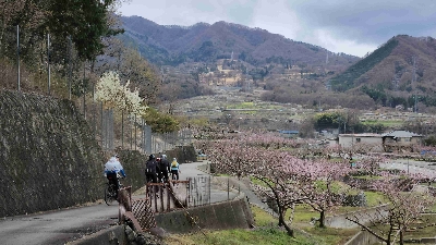 Photo from 2025/4/6