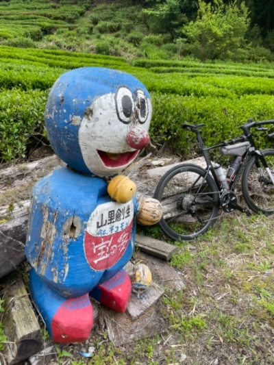 Photo from 2024/5/6