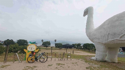 Photo from 2025/8/7