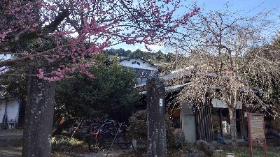 Photo from 2024/2/9