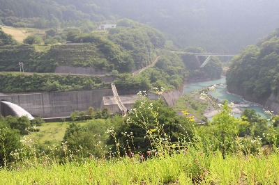 Photo from 2025/7/5