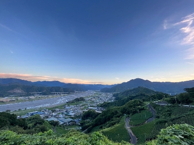 Thumbnail for 6619