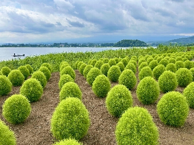 Photo from 2025/8/9