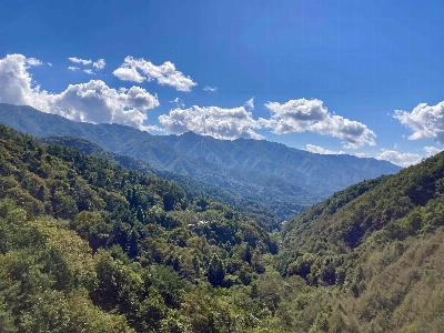 Thumbnail for 33895